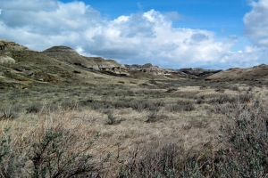 Dinosaur Provincial Park